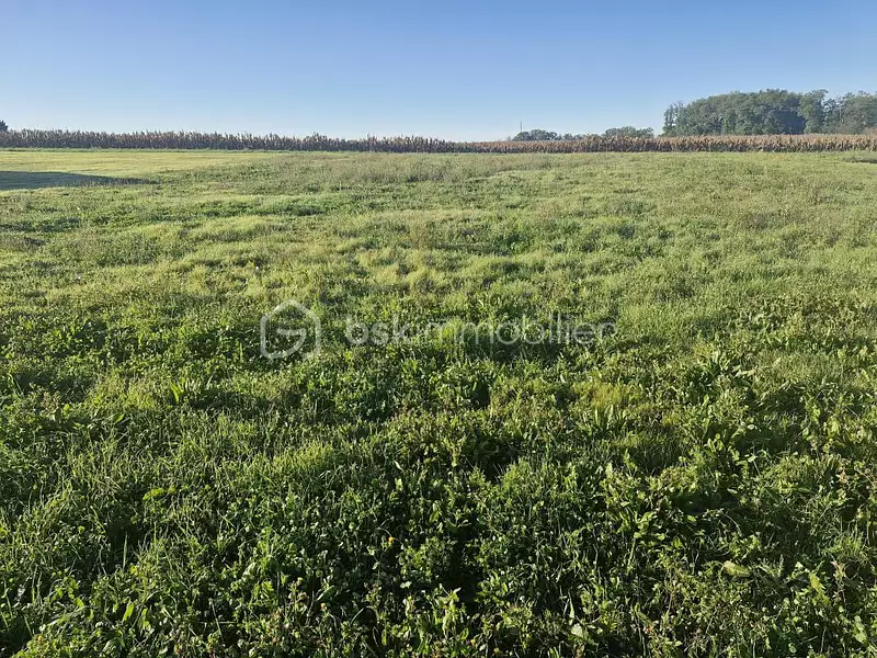 Terrain, 1 664 m²