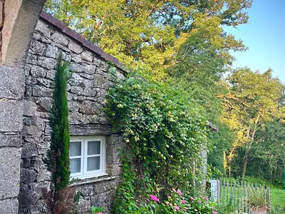 Maison, 338 m²