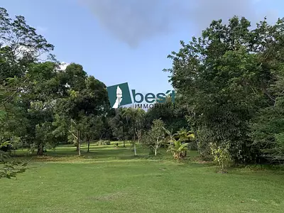Terrain, 10 000 m²
