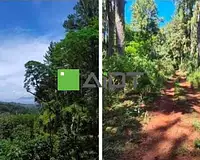 Terrain, 11 489 m²