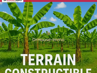 Terrain, 700 m²