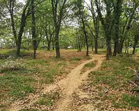 Terrain, 720 m²