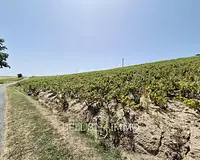 Terrain, 51 850 m²