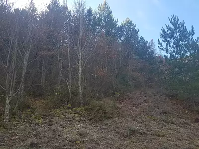 Terrain, 19 793 m²