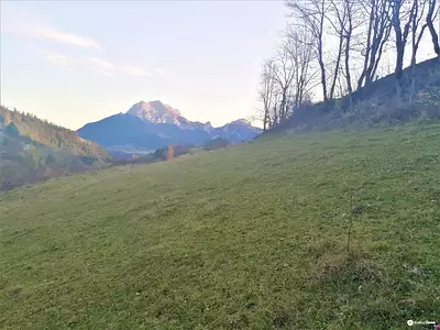 Terrain, 3 463 m²
