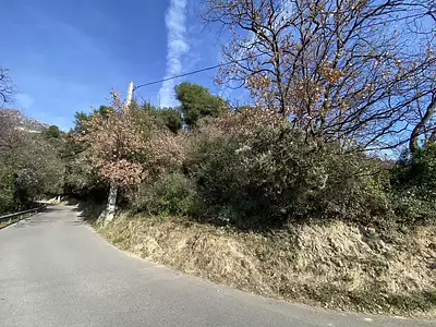 Terrain, 1 955 m²
