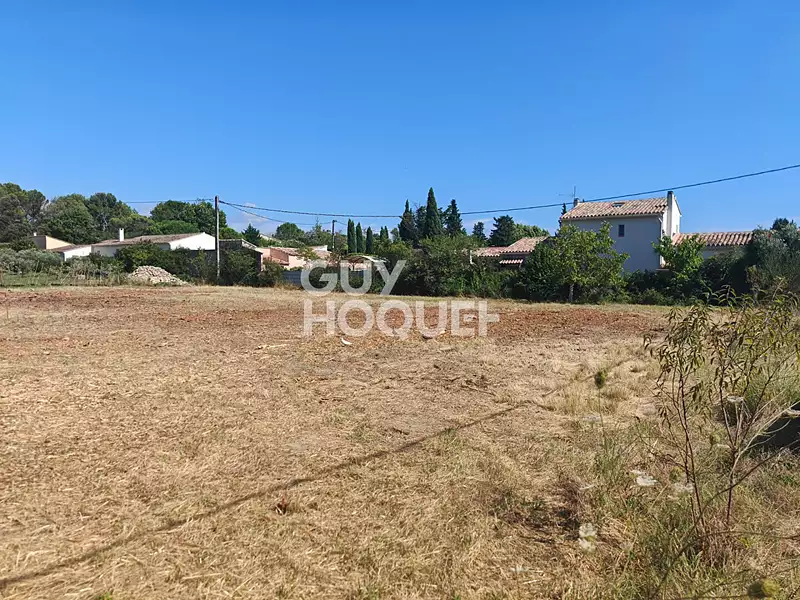 Terrain, 981 m²