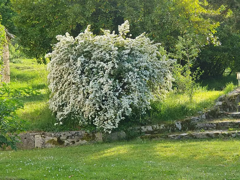 Maison, 570 m²