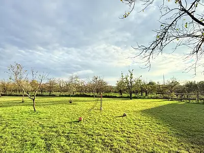 Maison, 203 m²