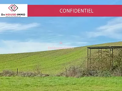 Terrain, 150 000 m²