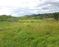 Terrain, 461 m²