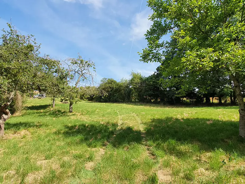 Terrain, 3 902 m²