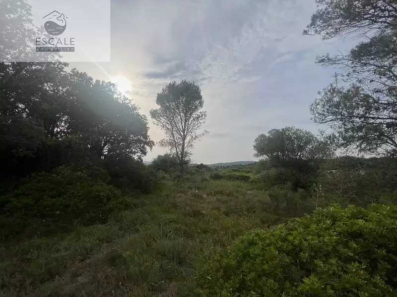Terrain, 6 091 m²
