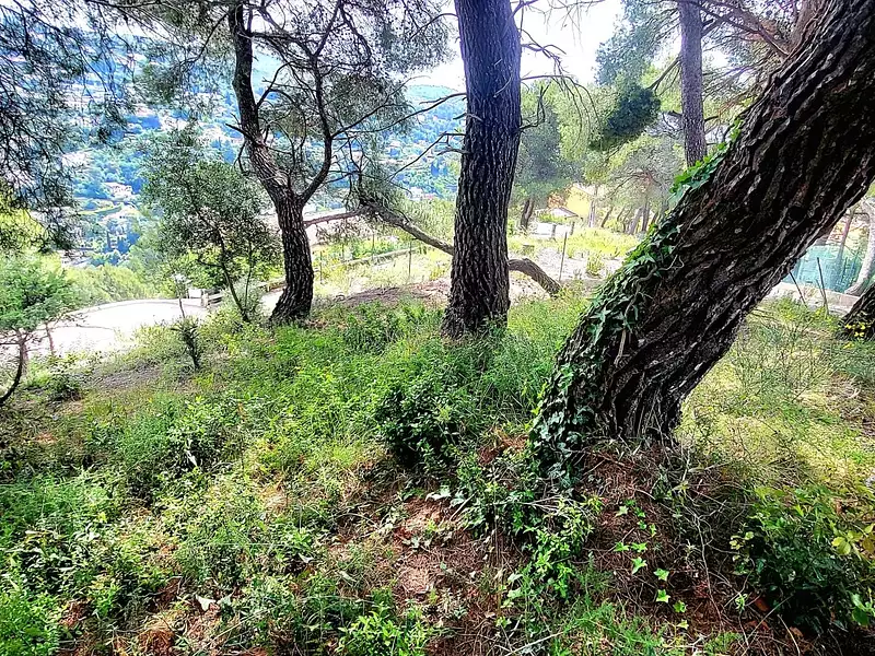 Terrain, 910 m²