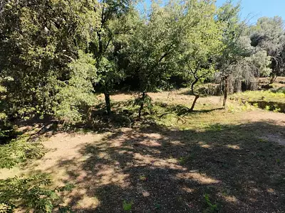 Terrain, 1 718 m²