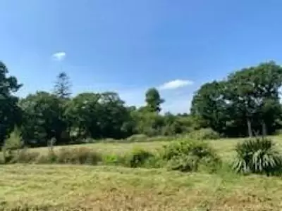 Terrain, 7 346 m²