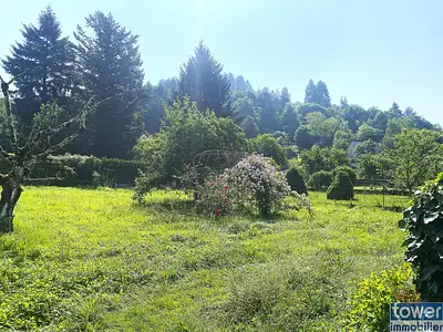 Terrain, 816 m²
