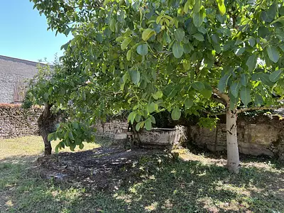 Terrain, 750 m²