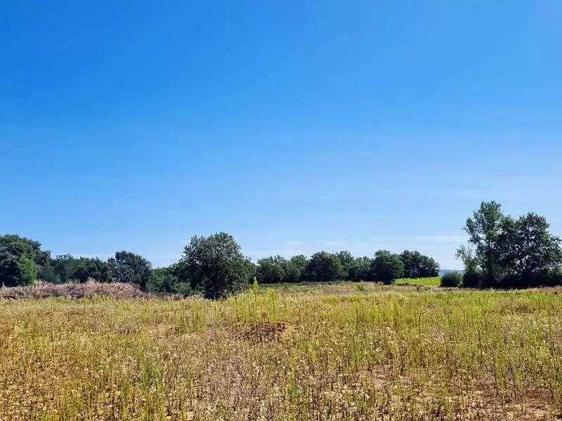 Terrain, 503 m²