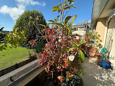 Appartement, 78,43 m²