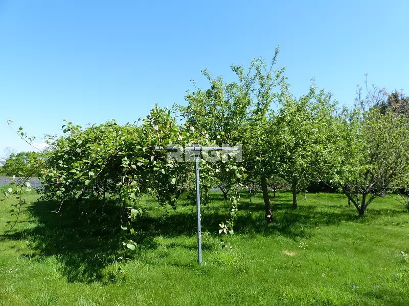 Terrain, 1 053 m²