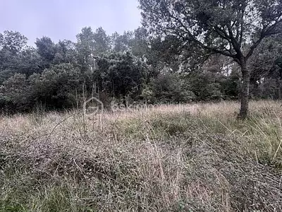Terrain, 26 435 m²