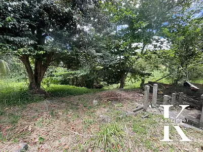 Terrain, 2 611 m²