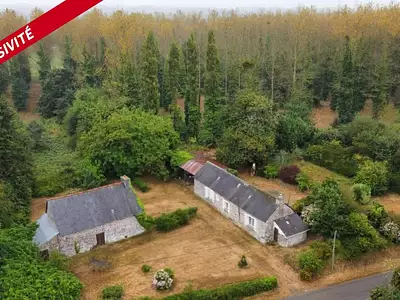Maison, 116 m²