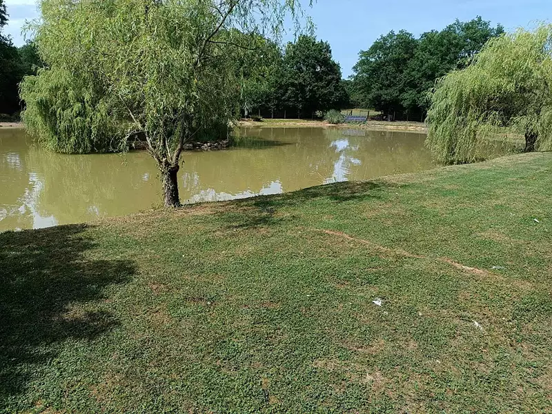 Terrain, 17 336 m²