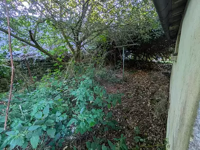Maison, 55 m²