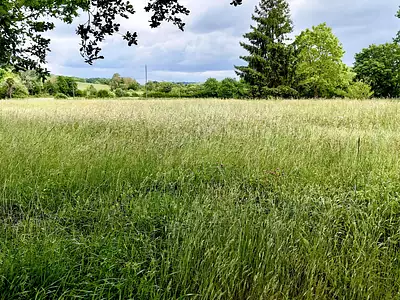 Terrain, 1 500 m²