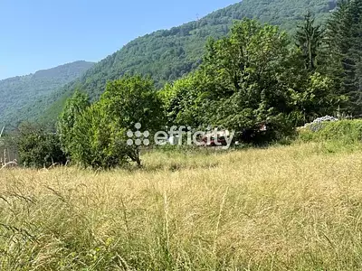 Terrain, 2 397 m²