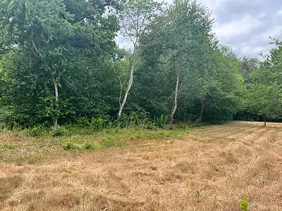 Terrain, 4 004 m²