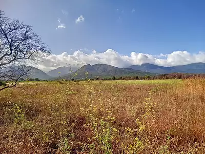 Terrain, 2 231 m²