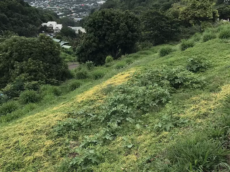 Terrain, 3 074 m²