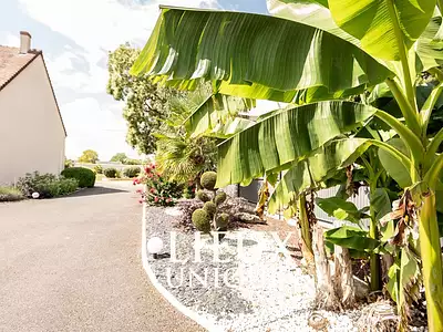 Maison, 240 m²