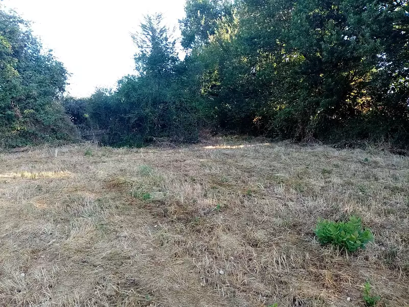 Terrain, 2 160 m²