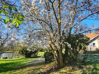 Maison, 160 m²