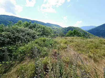 Terrain