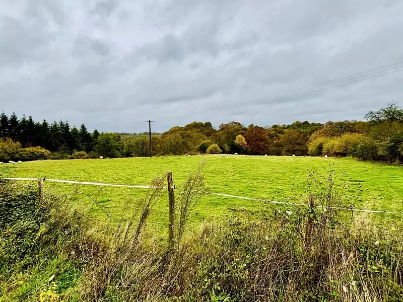 Terrain, 13 504 m²