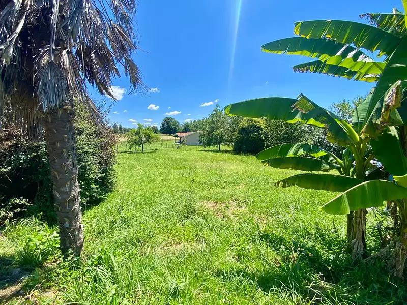 Terrain, 1 288 m²