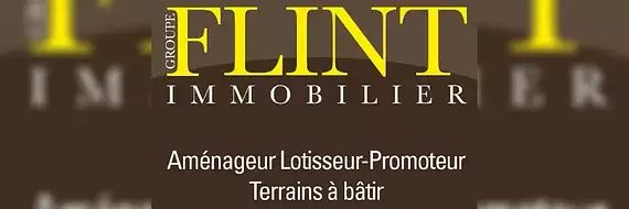 FLINT IMMOBILIER