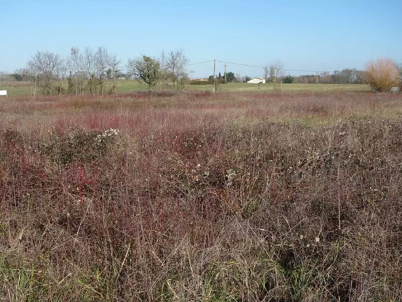 Terrain, 800 m²