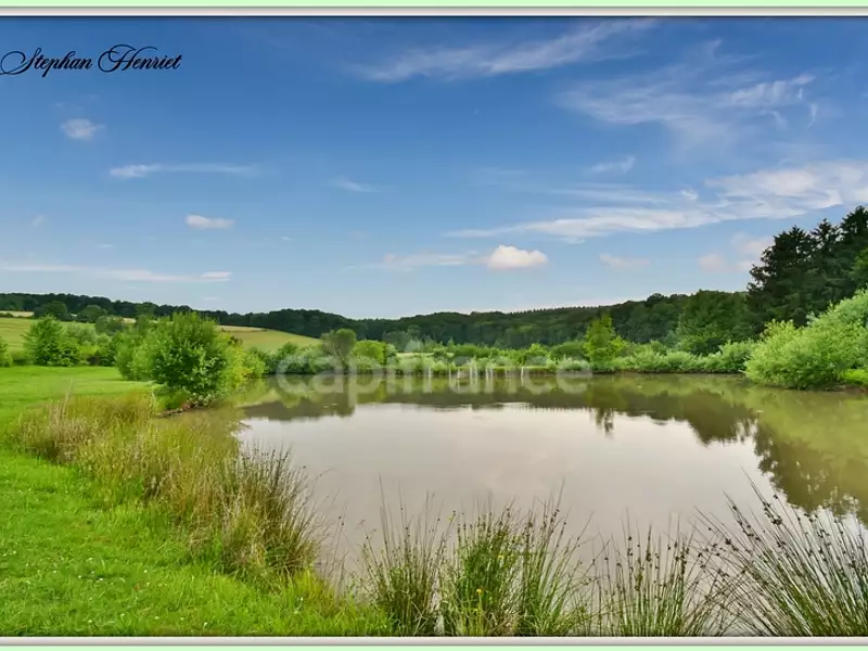 Terrain, 31 710 m²
