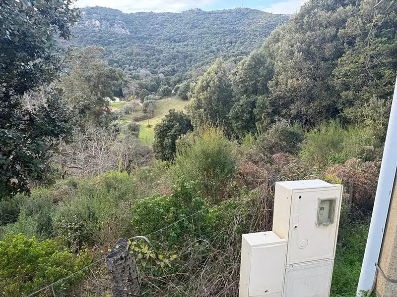 Terrain, 1 200 m²