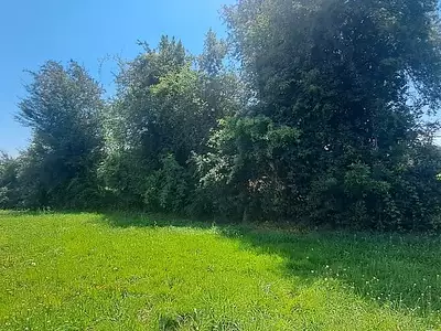 Terrain, 2 559 m²