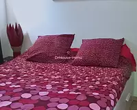 Appartement, 51,13 m²