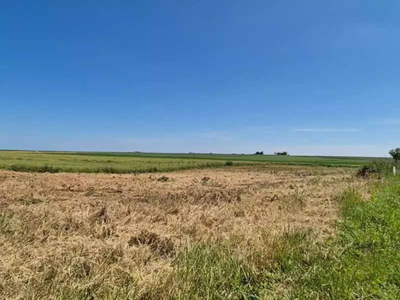 Terrain, 600 m²