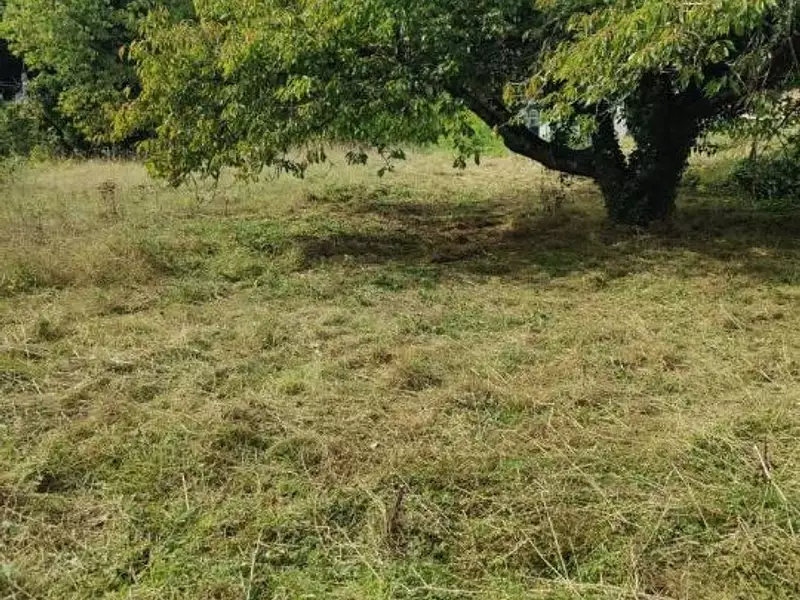 Terrain, 726 m²