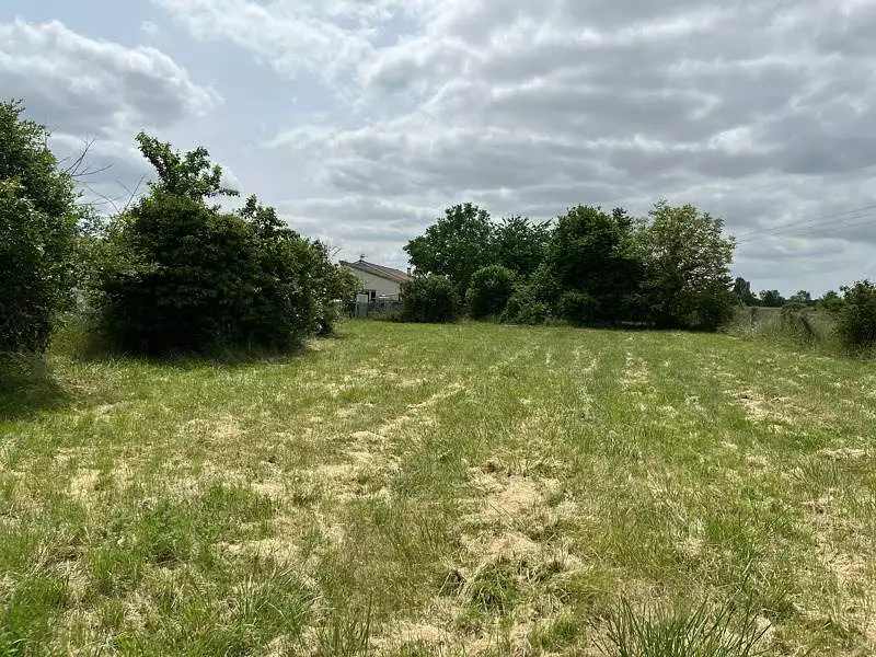 Terrain, 2 005 m²